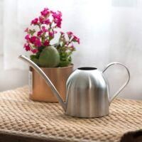 OEM Regadera De Acero Inoxidable De 1000 Ml, Regadera Para Flores, Regadera Met&aacute;lica Para Plantas De Interior Y Jard&iacute;n, Color Plata - Crezuo