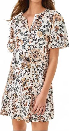 Lilly Pulitzer Amesbury Coconut Take Meow Dress In Multi