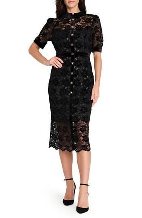Tahari by ASL Metallic Lace & Velvet Shirtdress in Black at Nordstrom Rack, Size 12