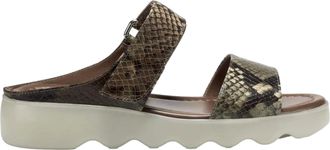 Aerosoles Willow Brown / Green Comb WILLOW-BRWNGRN Womens