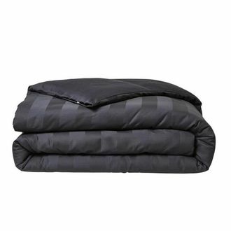 OZAIA Ozaia - S&aacute;bana Today Prestige - 220 X 240 Cm - 2 Personas - 100% Sat&eacute;n De Algod&oacute;n - Carb&oacute;n