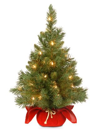 National Tree Company 24in Majestic Fir Tree with Clear Lights