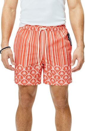 Psycho Bunny Brad Palm Tree & Bunny Print 6-Inch Swim Trunks in Emberglow at Nordstrom, Size Large