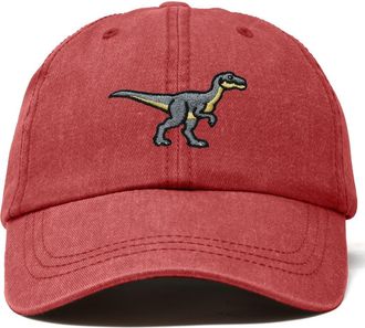 Dalix Velociraptor Dad Cap in Washed Red at Nordstrom