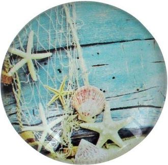 Beachcombers 2 Glass Starfish On Boards Magnet in Blue at Nordstrom