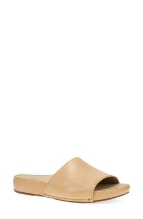 Dansko Twyla Slide Sandal in Honey at Nordstrom, Size 11.5-12Us