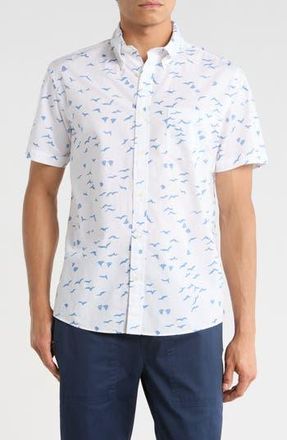 Brooks Brothers Sport Fit Short Sleeve Cotton Button-Up Shirt in White Blue at Nordstrom Rack, Size Xx-Large
