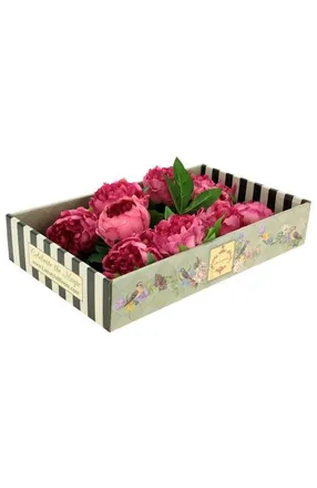 Mark Roberts Ruffled Peony Natural Touch, Box of 6 in Light Red at Nordstrom