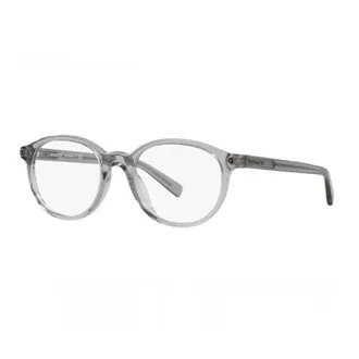 Coach HC6167U 5176 Transparent Grey 51mm