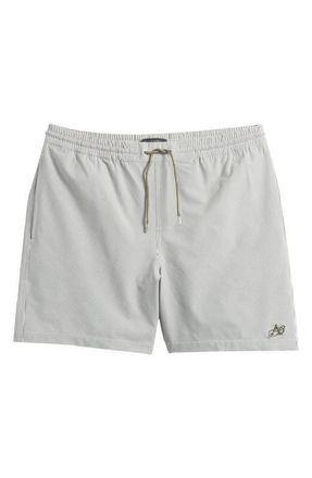 AllSaints Ciper Stripe Swim Trunks in Chalk White/Green at Nordstrom, Size Xx-Large