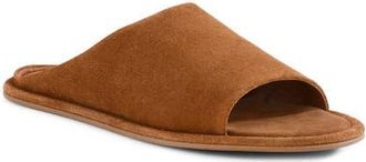 Seychelles Its A Yes Slide Sandal in Tan at Nordstrom, Size 6.5