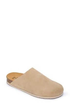 Plakton Brooke Clog in Tan Suede at Nordstrom Rack, Size 10Us / 41Eu