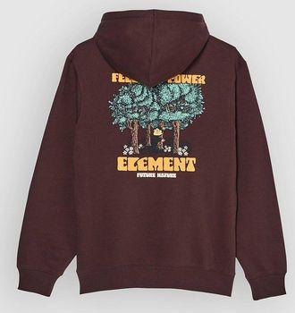 Element Feel The Power Hoodie braun