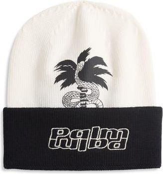 Palm Angels Two-Tone Wool Beanie in Black White at Nordstrom Rack