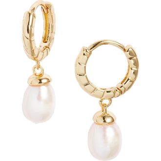 Nordstrom Demi Fine Freshwater Pearl Drop Hoop Earrings in White- 14K Gold Plated at Nordstrom