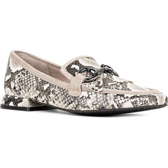 Donald J Pliner Saeli Kiltie Bit Loafer in Taupe at Nordstrom Rack, Size 7.5