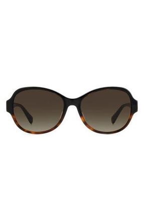 Kate Spade New York addilynn 57mm gradient round sunglasses in Black Havana/Brown Gra at Nordstrom Rack