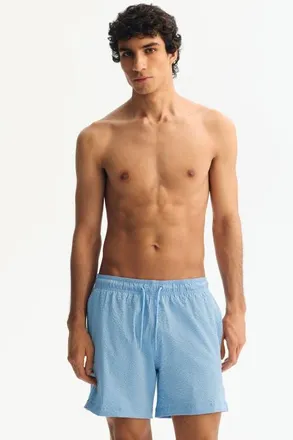 H&M Seersucker Swim Shorts in Light Blue/striped at Nordstrom, Size X-Large