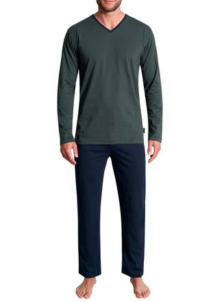 Tom Tailor Pyjama TOM TAILOR Nevada, Herren, Gr. 48S, gr&uuml;n (gr&uuml;n, dunkel, ringel), Single Jersey, Obermaterial: 100% Baumwolle, gestreift, bequem lang, V-Ausschn