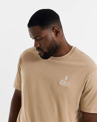 Polo Ralph Lauren Logo T-Shirt