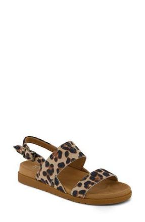 Toms Marin Slingback Sandal in Light Beige at Nordstrom Rack, Size 9.5