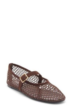 Abound Amari Mesh Ballet Flat in Brown Chocolate at Nordstrom Rack, Size 6.5