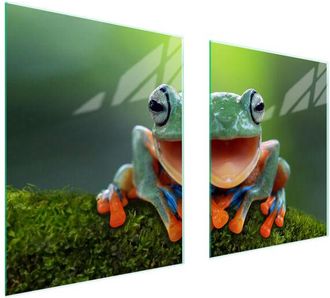 OEM Placa Protectora De Vidrio Para Estufa 85x52 Frog