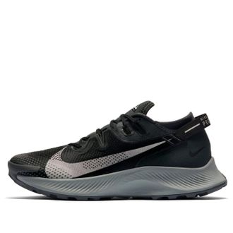 Nike Pegasus Trail 2 Dark Smoke Grey CK4305-002