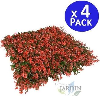 No Brand Pack 4 Jardin Vertical Natus 50x50 Cm Planta Artificial Decoraci&atilde;&sup3;n Pared Interior Exterior Jardines Verticales