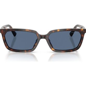Jimmy Choo London 55mm Rectangular Sunglasses in Havana /Blue at Nordstrom