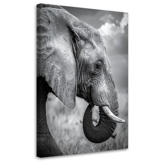 Feeby Cuadro En Lienzo, Elefante &Aacute;frica Sabana Blanco Y Negro, 80x120