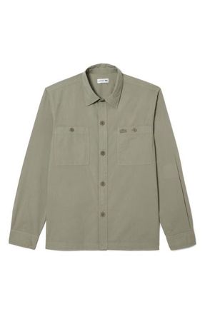Lacoste Cotton Button-Up Overshirt in Eco Olive at Nordstrom, Size 15.75