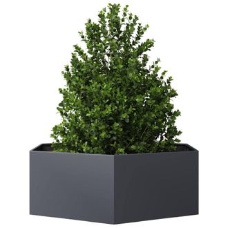 Berkfield Home Durable Garden Planter Anthracite Hexagon 138x120x45 cm Steel in Dark Grey | Size: 138 x 120 x 45 cm