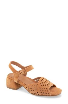 Gentle Souls Oaks Ankle Strap Sandal in Tan at Nordstrom, Size 7.5