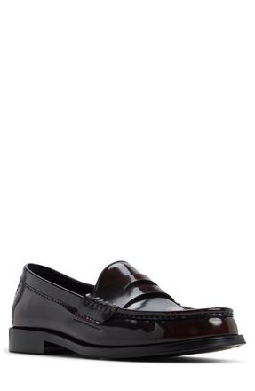 Aldo Ludovik Penny Loafer in Bordo at Nordstrom, Size 10.5