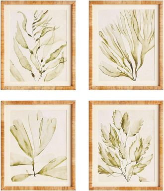 Napa Home & Garden Set Of 4 Coastal Greenery Prints