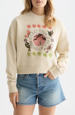 Scotch & Soda Artwork Embroidered Cotton Sweatshirt in Fog at Nordstrom, Size X-Large