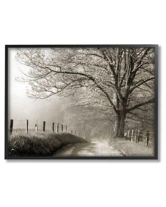 Stupell Industries Rural Scenery Fenced Path Framed Giclee Wall Art By Danita Delimont