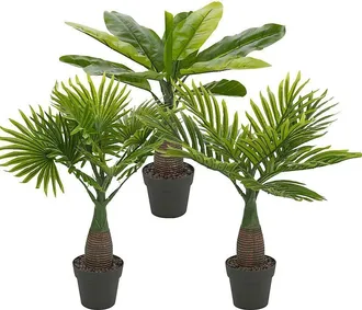 Wurko Importacion Planta Artificial Palmito 40 Cm, Planta Artificial Palmito De 40 Cm. -maceta Decorativa Con Palmito Artificial. -dimensiones: 9 X 10 X 40 