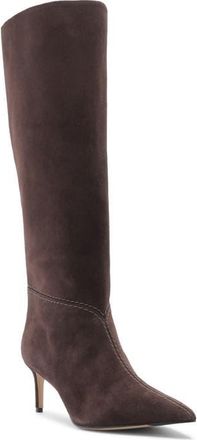 Alexandre Birman Malva Pointed Toe Knee High Boot in Dark Brown at Nordstrom, Size 7.5