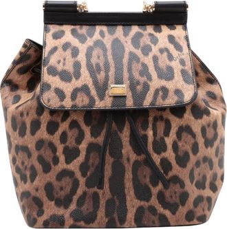 Dolce & Gabbana Pre-owned Dolce and Gabbana Leopard Print Leather Dauphine Miss Sicily Backpack Ladies JL5PZRKS5FMSHL0N