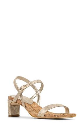 Donald J Pliner Brazi Slingback Sandal in Platino at Nordstrom, Size 8.5