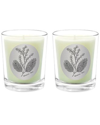 Qualitas Mimosa Tree Two Scented Beeswax Candle Set