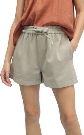 Wishlist Cotton Shorts in Mint at Nordstrom Rack, Size Medium