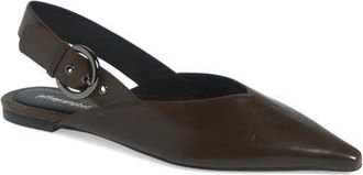 Jeffrey Campbell Scone Slingback Pointed Toe Flat in Khaki at Nordstrom, Size 9