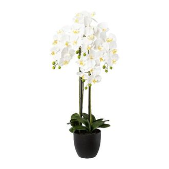 Schubiger M&ouml;bel Kunstpflanze Orchidee im Resintopf,wei&szlig; H: 99 cm