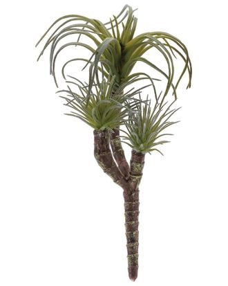 Melrose International Set Of 6 Air Plant Succulent Pick