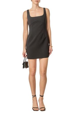 endless rose Lace Trim Sleeveless Minidress in Black at Nordstrom, Size X-Small