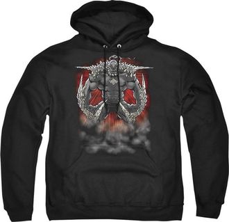 Gildan Superman Doomsday Dust Adult Pull Over Hoodie / Hooded Sweatshirt