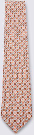 Ferragamo Ties Bright-Uomo